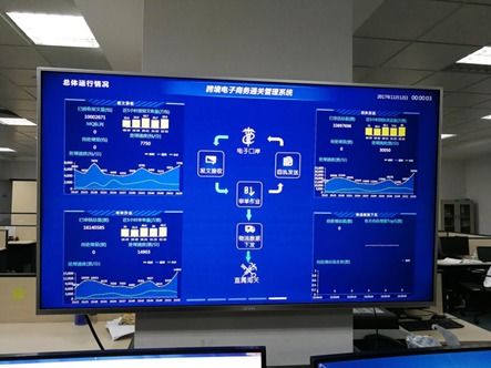 普元微服务架构 双十一期间稳定支撑海关通关与电商运营的坚实基石