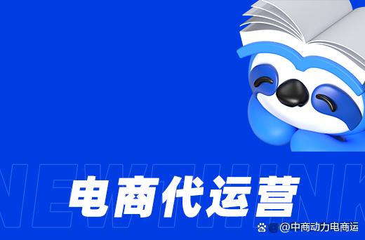 电商运营供应链优化与服务协同指南