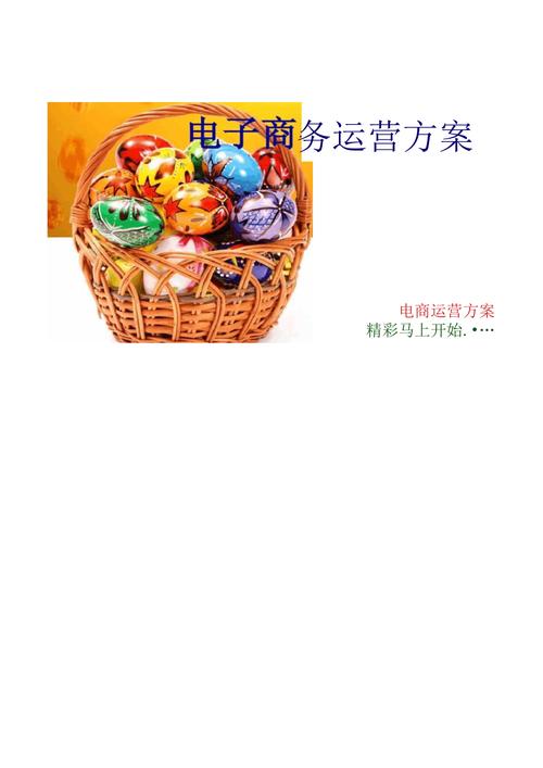 电商运营的精细化管理 从模式到服务的全面框架
