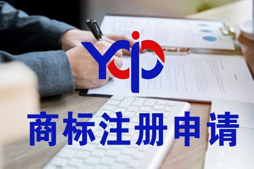 枣阳特许经营备案如何申请知识产权服务